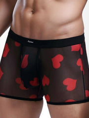 Load image into Gallery viewer, Sheer Boxer