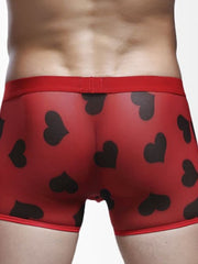 Load image into Gallery viewer, Sheer Boxer