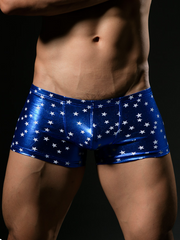 Load image into Gallery viewer, Men's Shiny