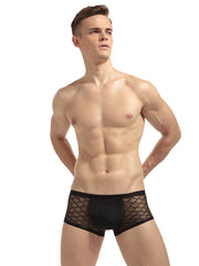 Load image into Gallery viewer, Men's Sheer Underwear