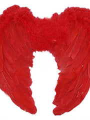 Load image into Gallery viewer, Angel Wings Dress Up Costume