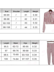 Load image into Gallery viewer, Velour/Velvet Tracksuit Set