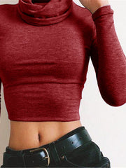 Load image into Gallery viewer, Turtle Neck Crop Top
