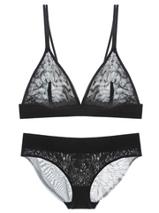 Load image into Gallery viewer, Sheer Bra & Underwear Set