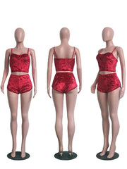 Load image into Gallery viewer, Velvet Two Piece Set