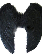 Load image into Gallery viewer, Angel Wings Dress Up Costume