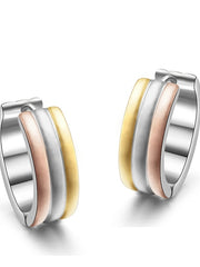 Load image into Gallery viewer, Stainless Steel Earrings