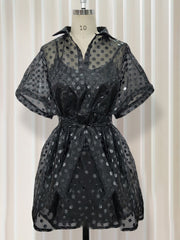 Load image into Gallery viewer, Polka Dot Sheer Dress