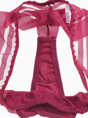 Load image into Gallery viewer, Sexy Panties V-Sheer Back