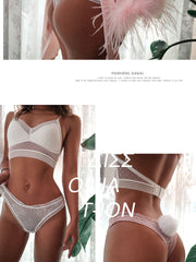 Load image into Gallery viewer, Lace Panties W/ Detachable Bunny Tail