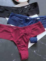 Load image into Gallery viewer, Sexy Panties V-Sheer Back