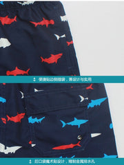 Load image into Gallery viewer, Swimming Shorts