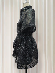 Load image into Gallery viewer, Polka Dot Sheer Dress