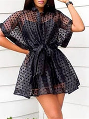 Load image into Gallery viewer, Polka Dot Sheer Dress