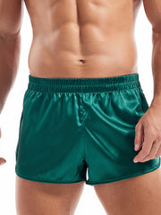 Load image into Gallery viewer, Silky Shorts