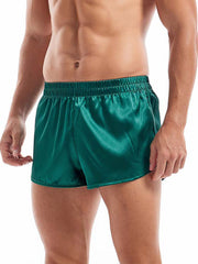 Load image into Gallery viewer, Silky Shorts