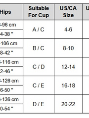 Load image into Gallery viewer, Sheer Embroidered Lace Panties