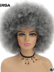 Load image into Gallery viewer, Afro Wigs