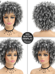 Load image into Gallery viewer, Afro Wigs