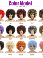 Load image into Gallery viewer, Afro Wigs