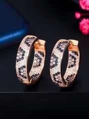 Load image into Gallery viewer, Hoop Earrings
