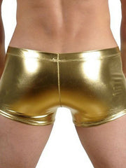 Load image into Gallery viewer, Shiny Shorts