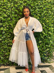 Load image into Gallery viewer, Sheer Bottomed Dress