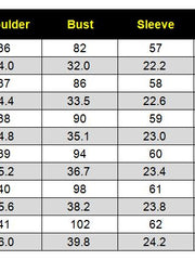 Load image into Gallery viewer, Long Sleeved Blouse