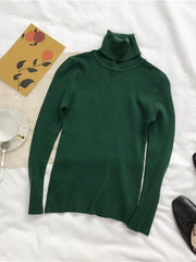 Load image into Gallery viewer, Long Sleeve Turtleneck Sweater