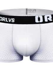 Load image into Gallery viewer, Boxer