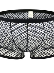 Load image into Gallery viewer, Mesh Underwear