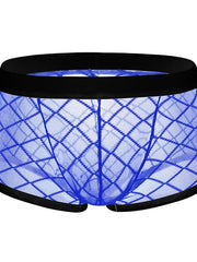 Load image into Gallery viewer, Mesh Underwear