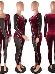 Load image into Gallery viewer, Sheer Velvet Bodycon Jumpsuit