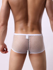 Load image into Gallery viewer, Mesh Underwear