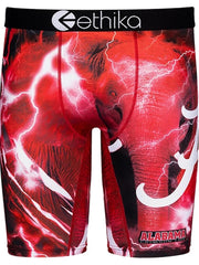 Load image into Gallery viewer, Boxer