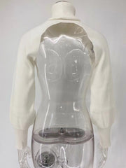 Load image into Gallery viewer, Turtleneck Long Sleeve Crop Top