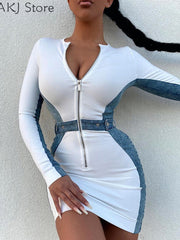 Load image into Gallery viewer, Front Zipper Long Sleeve Dress