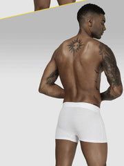 Load image into Gallery viewer, Boxer