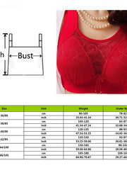 Load image into Gallery viewer, Bra With Sheer Patch