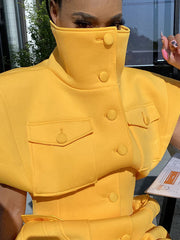 Load image into Gallery viewer, Oversized Collar Dress