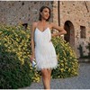 Load image into Gallery viewer, Tassel Sequins Feather Dress