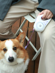 Load image into Gallery viewer, Retractable Leash And Dog Collar Spotlight Automatic Traction Rope