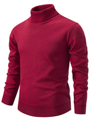 Load image into Gallery viewer, Turtleneck Pullover Sweater