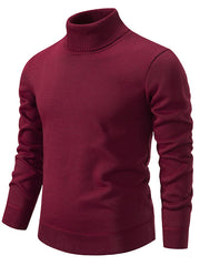Load image into Gallery viewer, Turtleneck Pullover Sweater