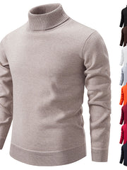 Load image into Gallery viewer, Turtleneck Pullover Sweater