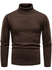 Load image into Gallery viewer, Turtleneck Pullover Sweater