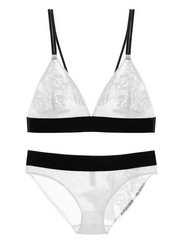 Load image into Gallery viewer, Sheer Bra &amp; Underwear Set
