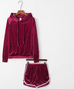 Velvet Long Sleeve Sweater & Shorts