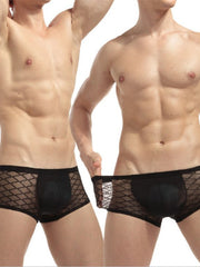 Load image into Gallery viewer, Men&#39;s Sheer Underwear
