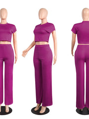 Load image into Gallery viewer, Crop Top T-shirt and Wide Leg Pants Set
